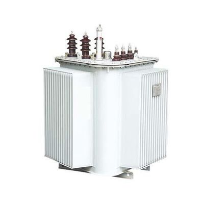 Transformador inmerso en aceite 10/0.4KV 30-1600KVA de S13 S14 MRL
